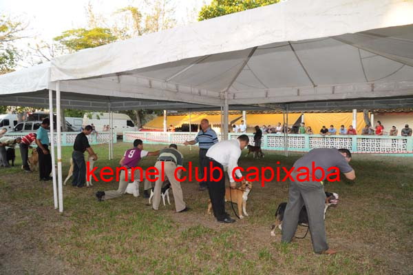 Clique sobre a foto para fechar